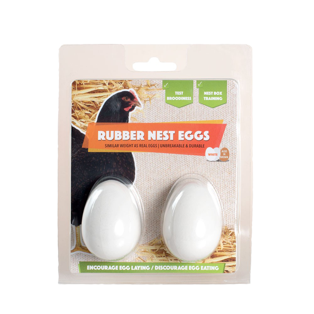 Rubber Eggs 2 pack