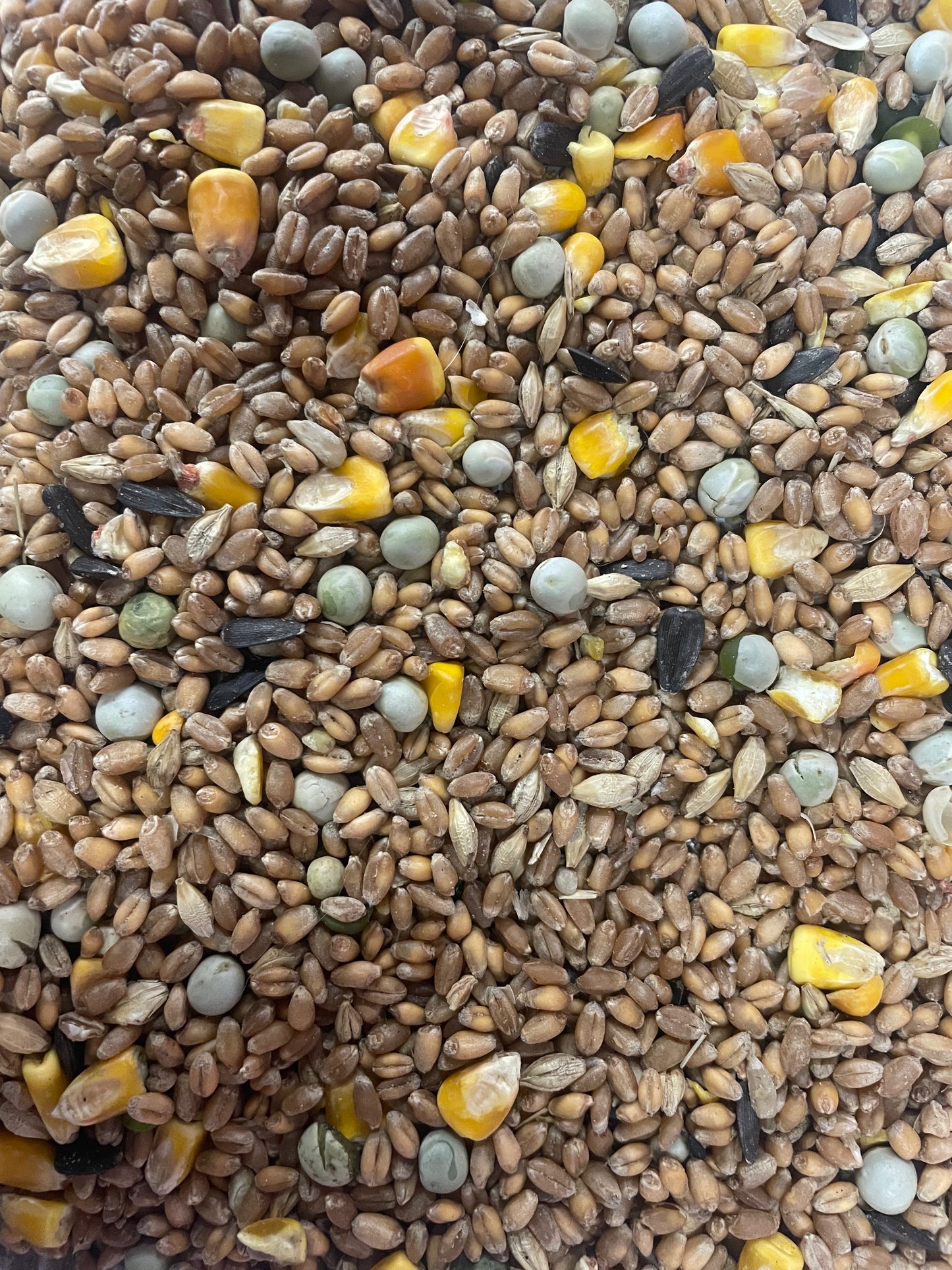 Rochfort Bridge Multi Grain Mix