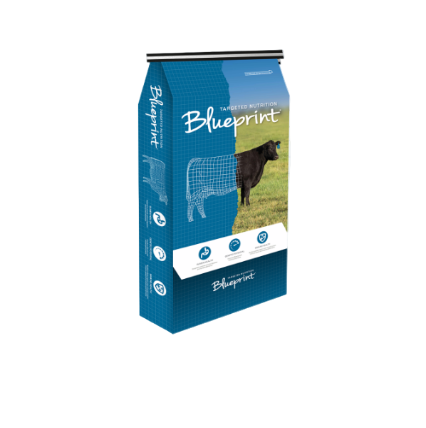 Master Feeds - Blueprint® Winter Premix Loose Mineral