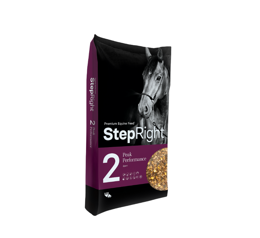 Step 2 Peak Performance - Sport