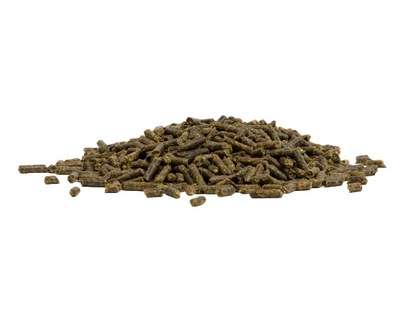 Step 4 Lo-Sugar Lite – High Fibre