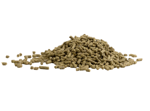 Step 7 Top Up Supplement – Ration Balancer