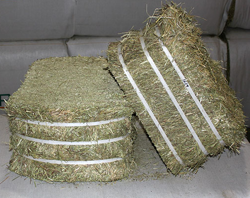Compressed Hay Bale