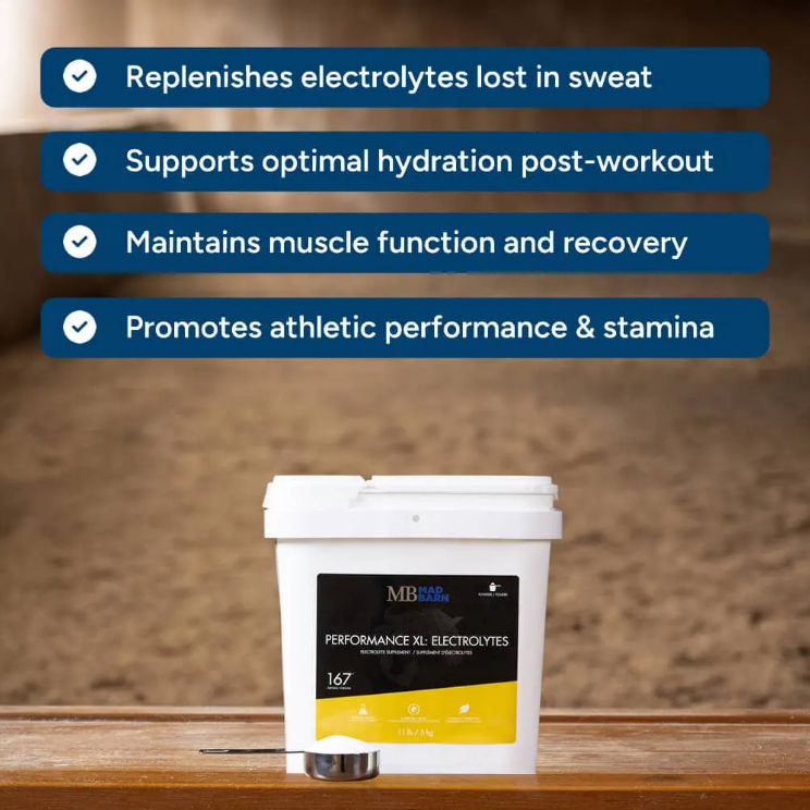 Mad Barn Performance XL Electrolytes