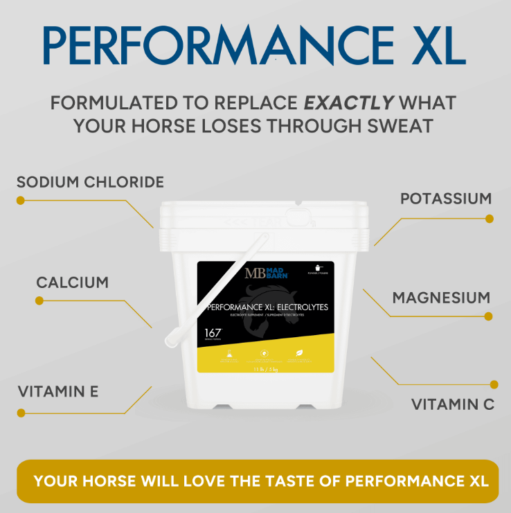 Mad Barn Performance XL Electrolytes
