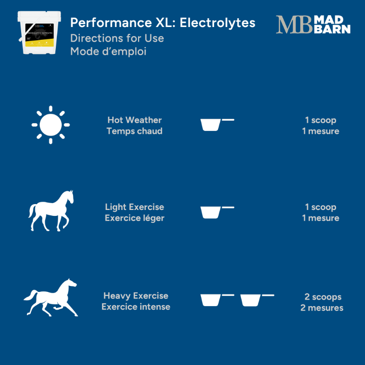Mad Barn Performance XL Electrolytes