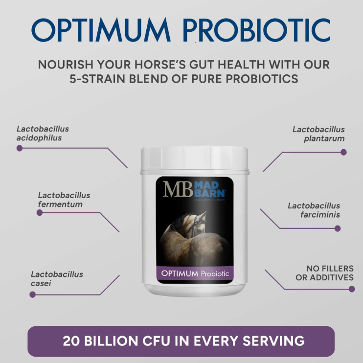 Mad Barn Optimum Probiotic