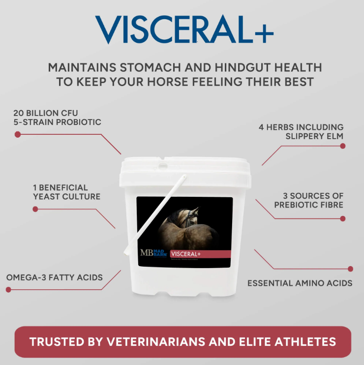 Mad Barn Visceral+ 2.5 kg