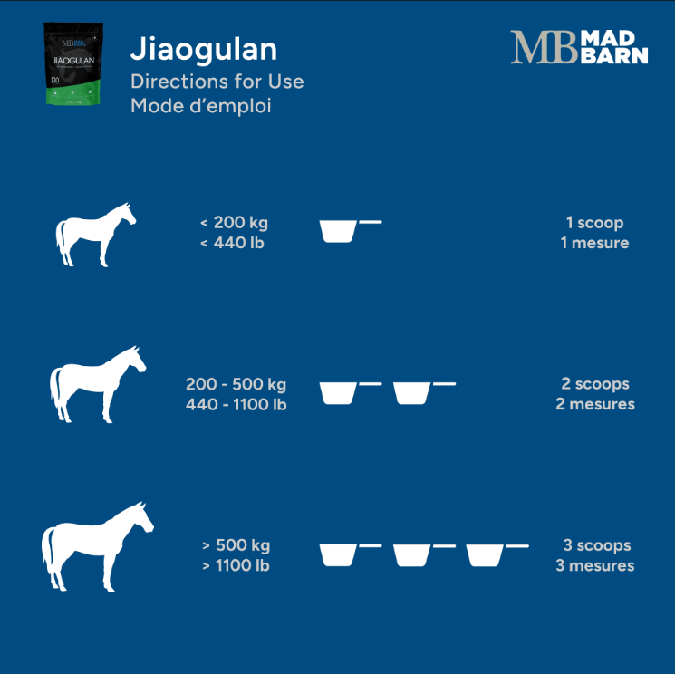 Mad Barn Jiaogulan 1 kg