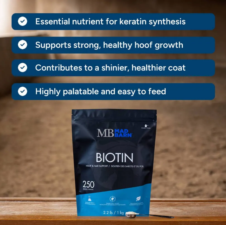 Mad Barn Biotin 1 kg