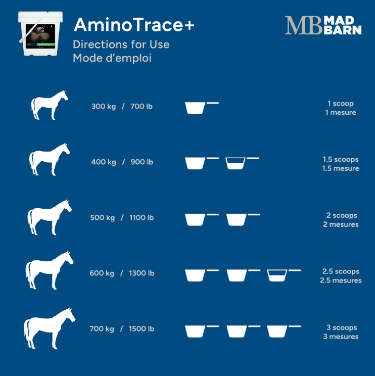 Mad Barn Amino Trace+ 5 kg