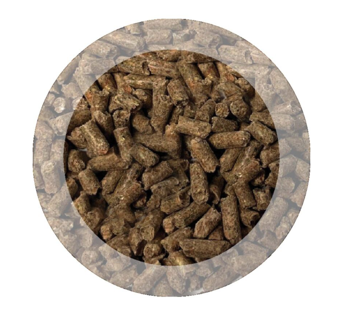 Purina Equilibrium Optimal