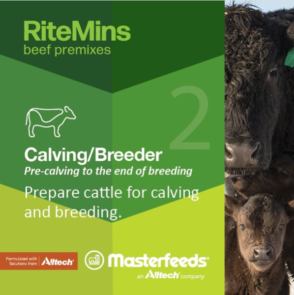 Master Feeds - RiteMins Calving/Breeder Loose Mineral