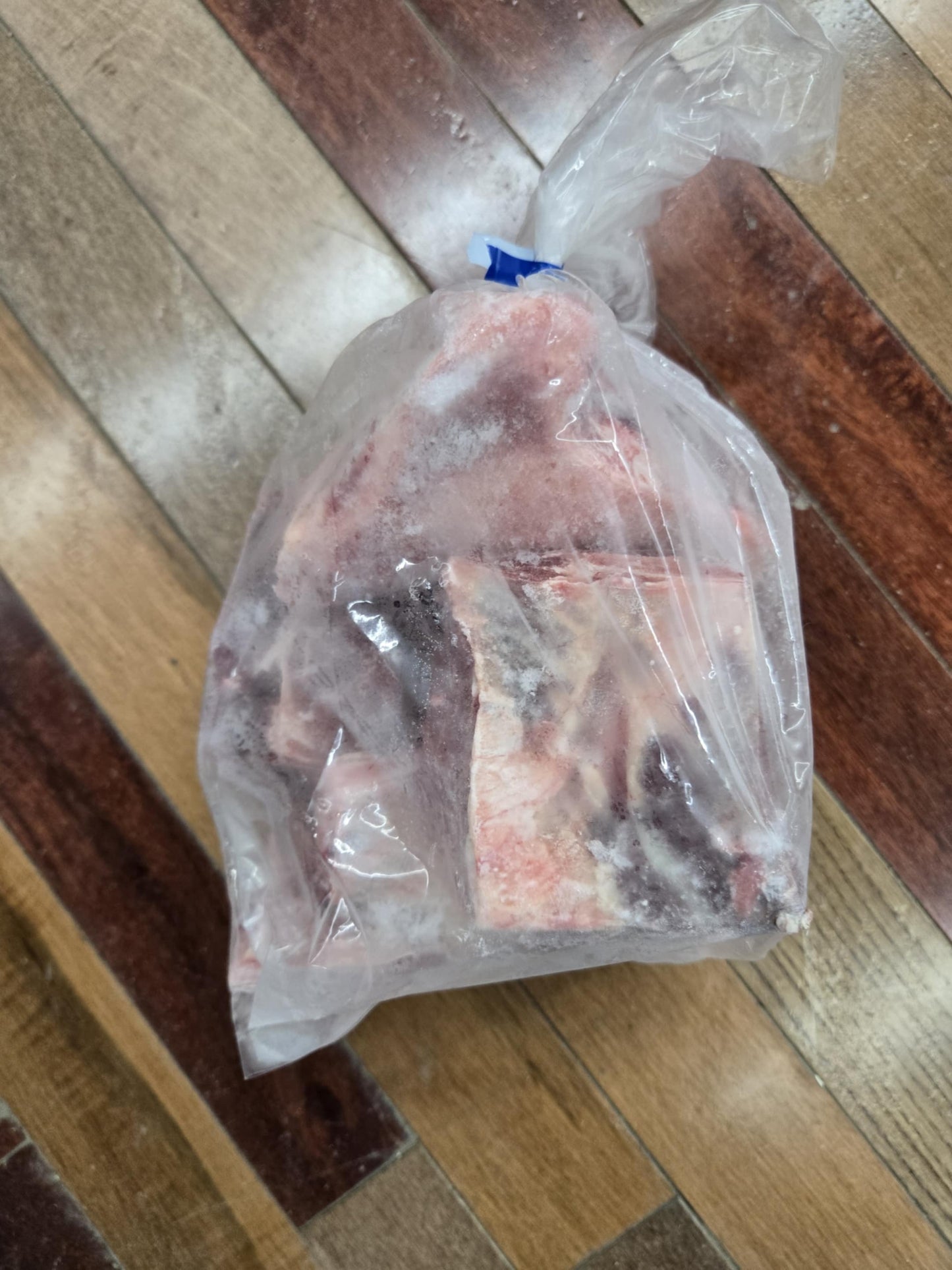 Bison Bones