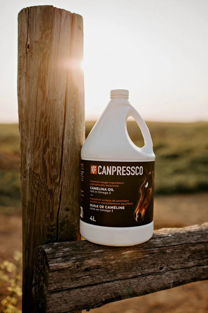 Canpressco Camelina Oil