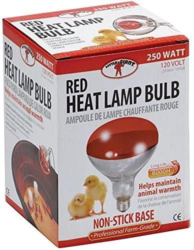 Heat Lamp - 250 Watt Red