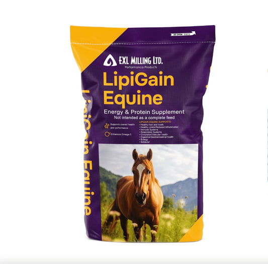 LipiGain Equine
