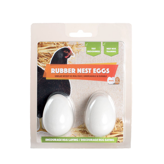 Rubber Eggs 2 pack