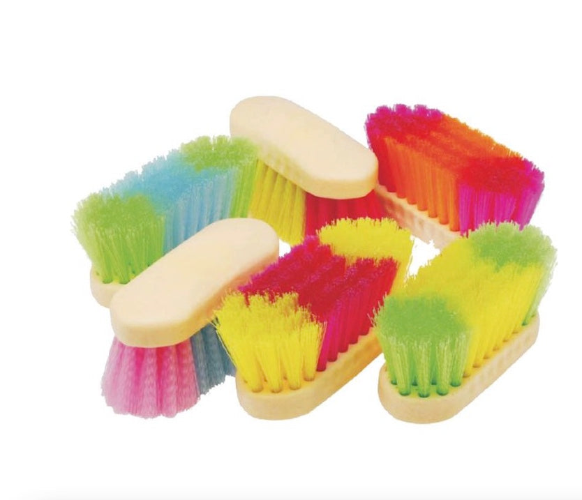 Burbank Rainbow Stiff Bristle Brush 8"