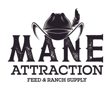 Mane Attraction 