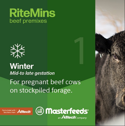 Master Feeds - RiteMins Winter Premix Loose Mineral