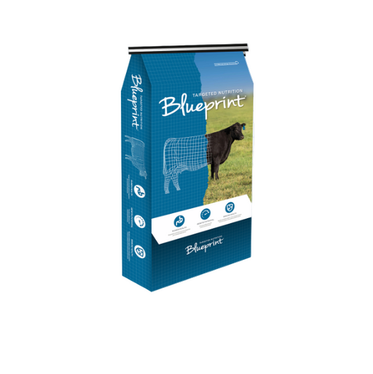 Master Feeds - Blueprint® Summer Premix Loose Mineral
