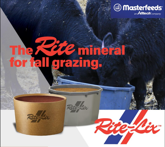 Master Feeds - Rite-Lix™ 22-10 Block Supplement