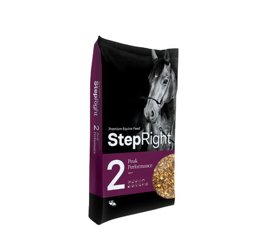 Step 2 Peak Performance - Sport