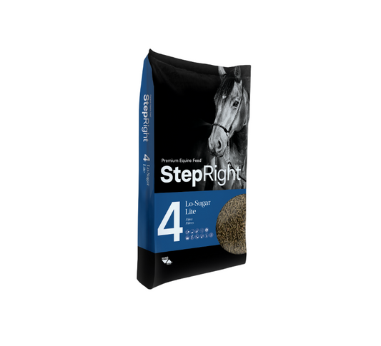 Step 4 Lo-Sugar Lite – High Fibre