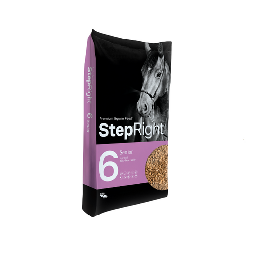 Step 6 Senior – Age Well