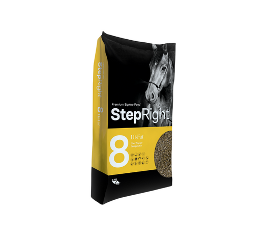 Step 8  Hi-Fat – Cool Energy