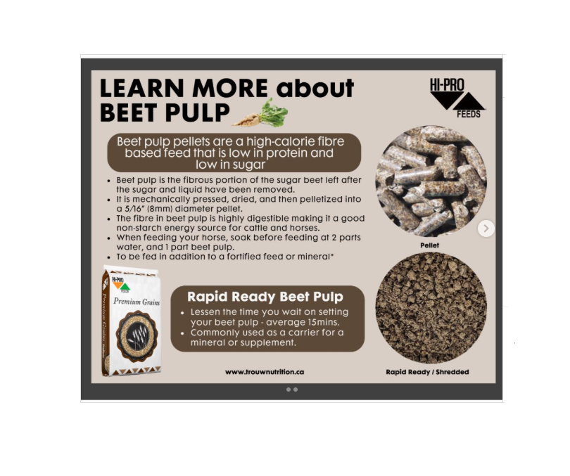Beet Pulp Pellets