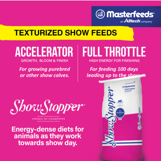 MasterFeeds - ShowStopper™ Accelerator (Textured)