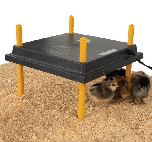 ComfortChick Brooder Plate - 12 x 12" (Square)