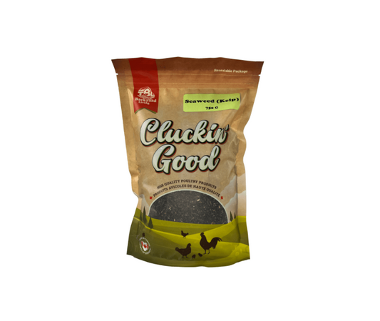 Cluckin Good Seaweed Kelp
