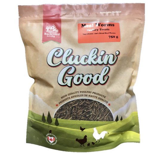 Clucking Good Mealworms