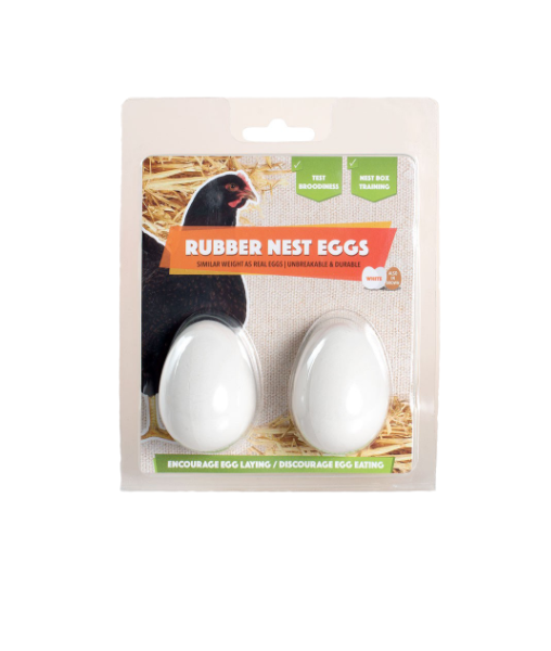 Rubber Eggs 2 pack