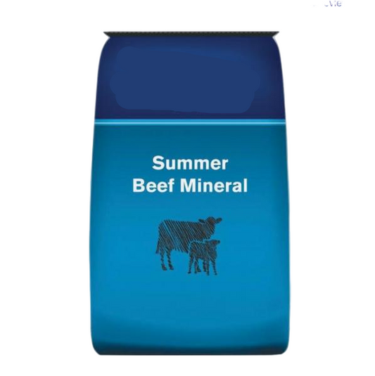 Master Feeds - RiteMins+ Summer Premix Loose Mineral