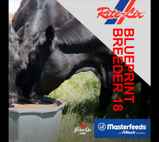 Master Feeds - Rite-Lix™ Blueprint® Breeder 18 Block Supplement