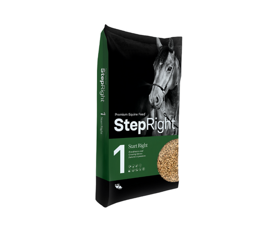 Step 1 Start Right - Broodmares and Growing Horses