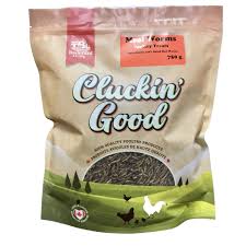 Clucking Good Mealworms