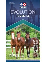 Purina Evolution Juvenile